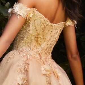 Cinderella blue formal dress off shoulder (has removable adjustable straps, pockets)